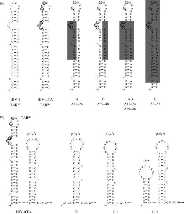 Figure 3.