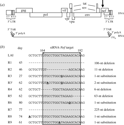 Figure 1.