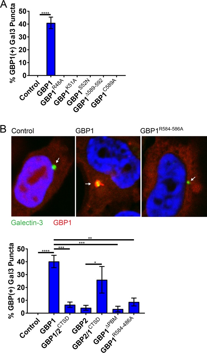 FIG 3 