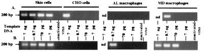 FIG. 6