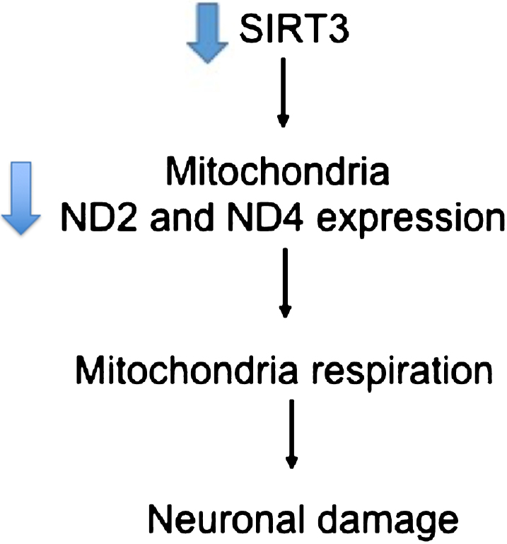 Fig.7