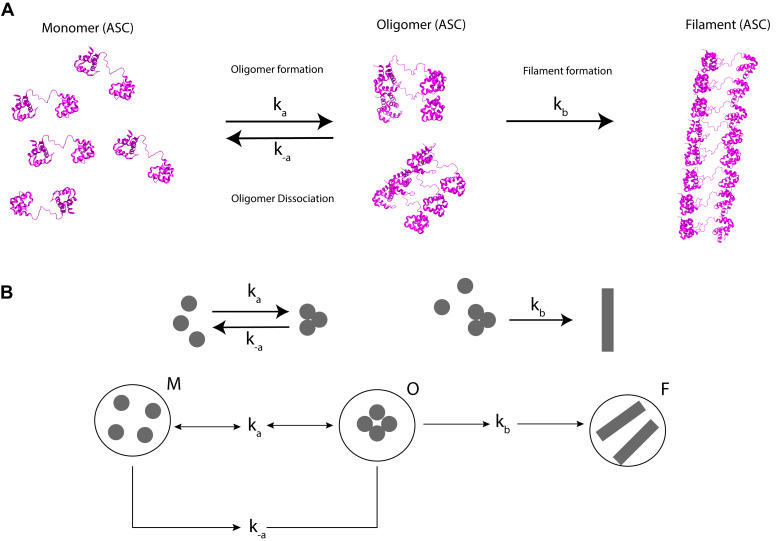 Figure 5