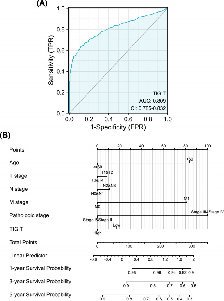 Fig. (5)