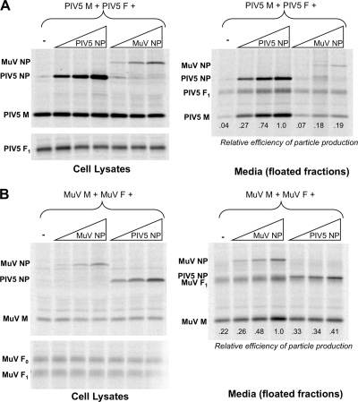 FIG. 7.