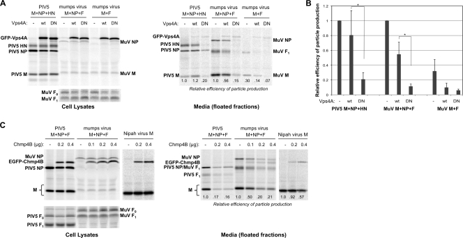 FIG. 4.