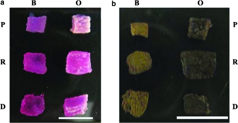 FIG. 10.