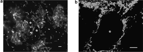 FIG. 9.