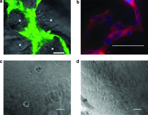 FIG. 6.