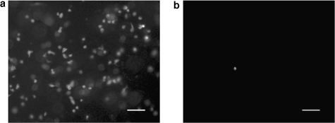 FIG. 8.