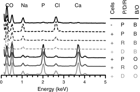 FIG. 12.