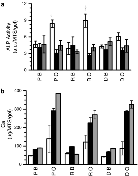 FIG. 11.