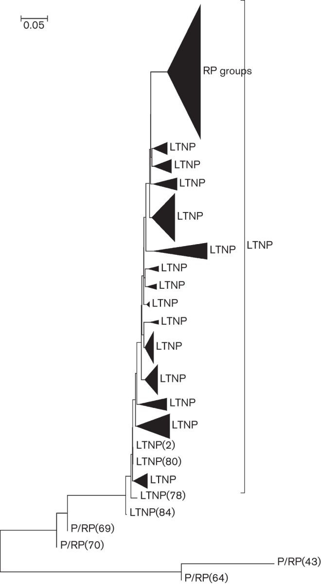 Fig. 1. 