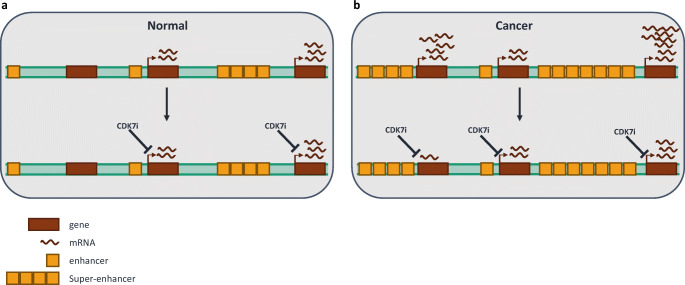 Fig. 2