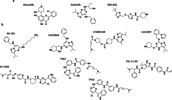 Fig. 3