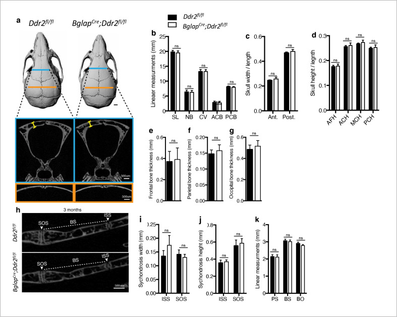 Figure 7—figure supplement 1.