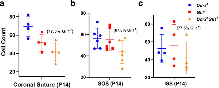 Figure 5—figure supplement 2.