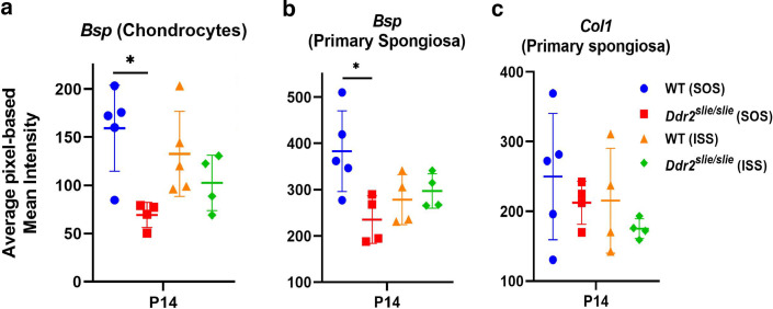 Figure 3—figure supplement 2.