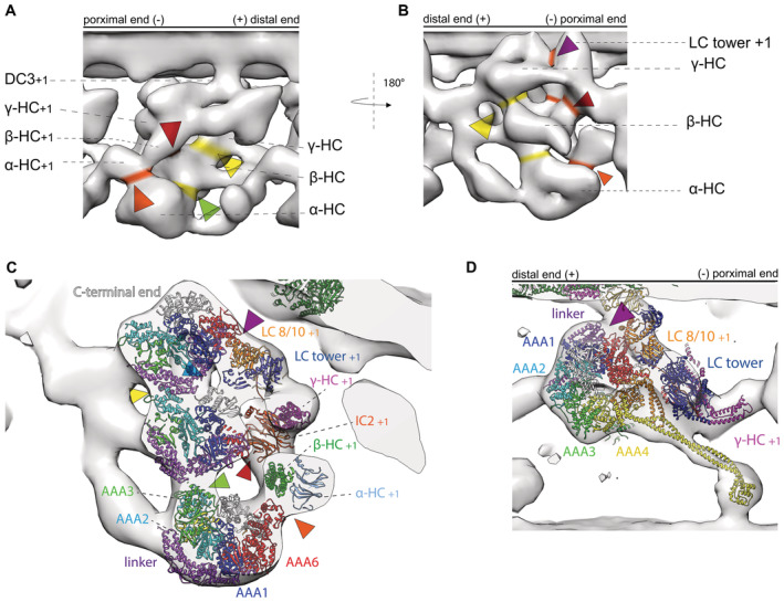 Figure 6