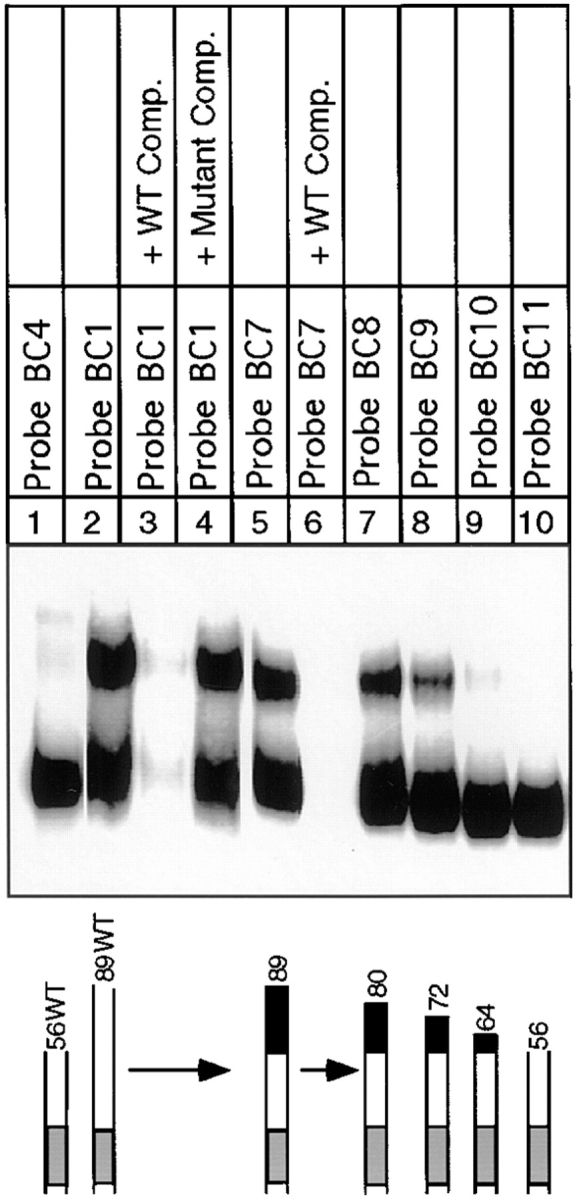 Figure 9