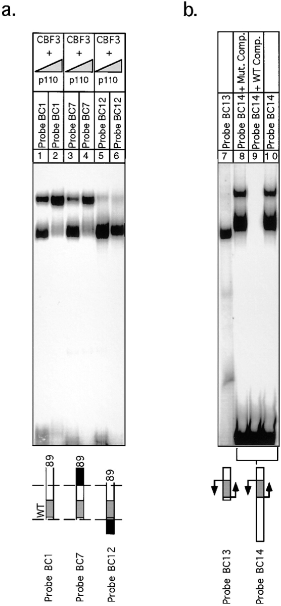 Figure 13