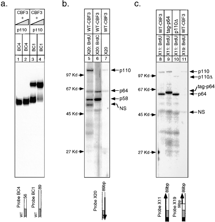 Figure 11