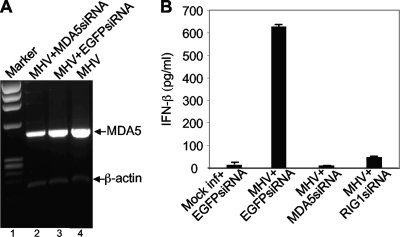 FIG. 8.