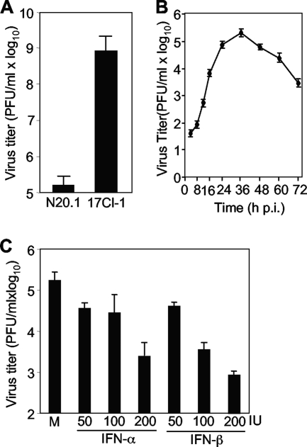 FIG. 1.