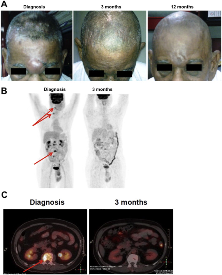 Fig. 7