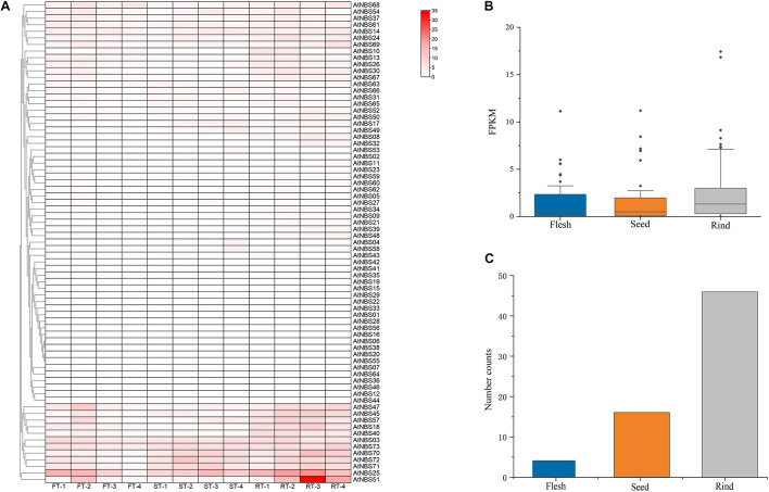 FIGURE 6