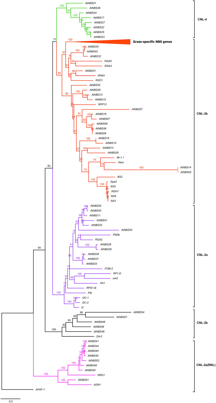 FIGURE 5