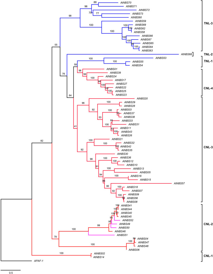 FIGURE 3