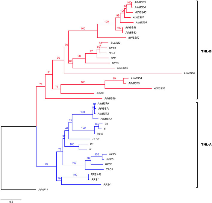 FIGURE 4