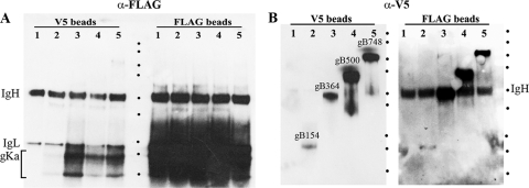 FIG. 7.