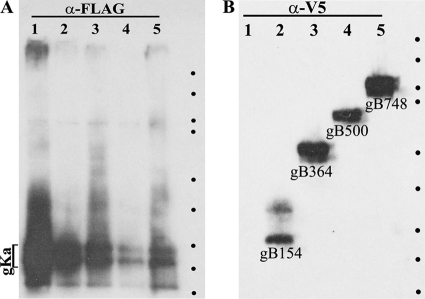 FIG. 6.