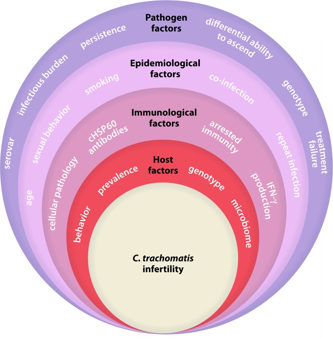 FIG 2