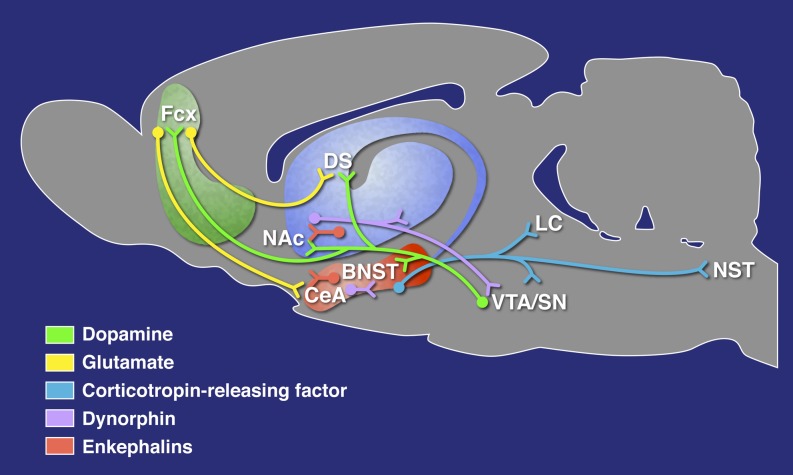 Fig. 2.