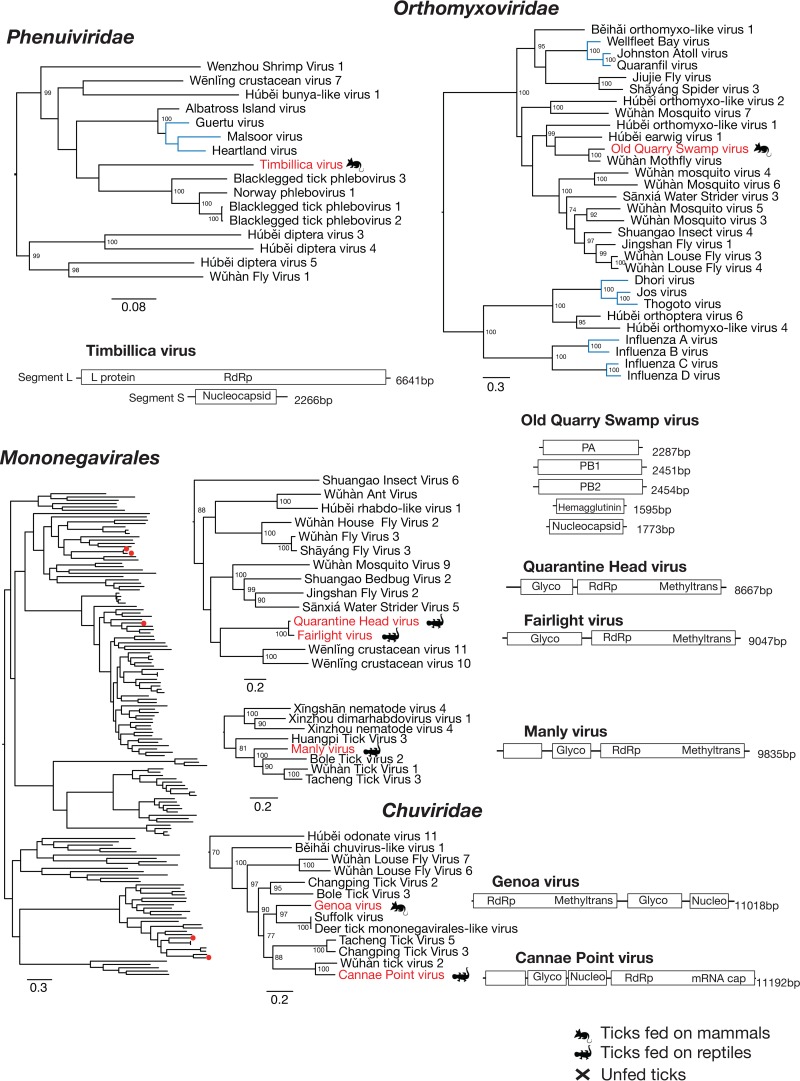 FIG 6