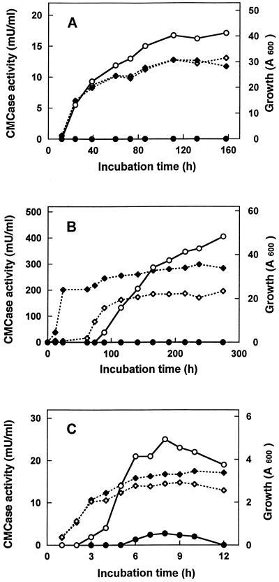 FIG. 7