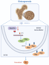Graphical Abstract