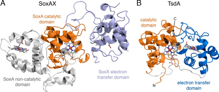 FIGURE 4.