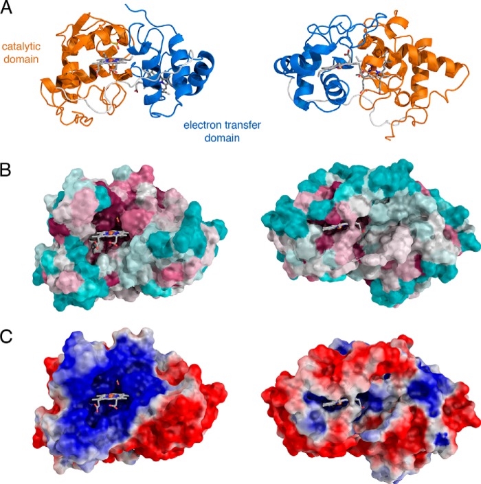 FIGURE 6.