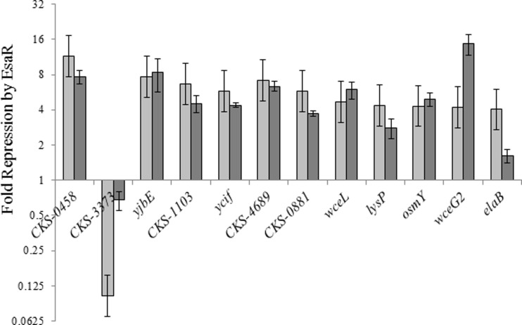 FIG 3