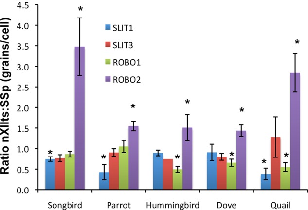 Figure 5