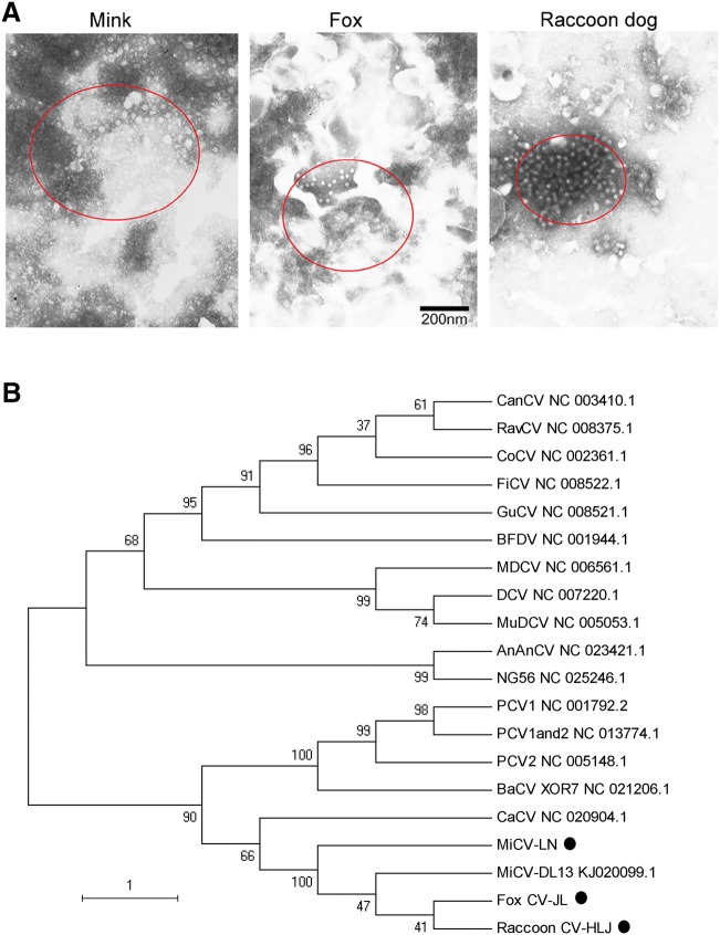 Fig. 1