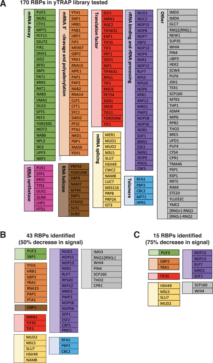 Figure 2—figure supplement 1.