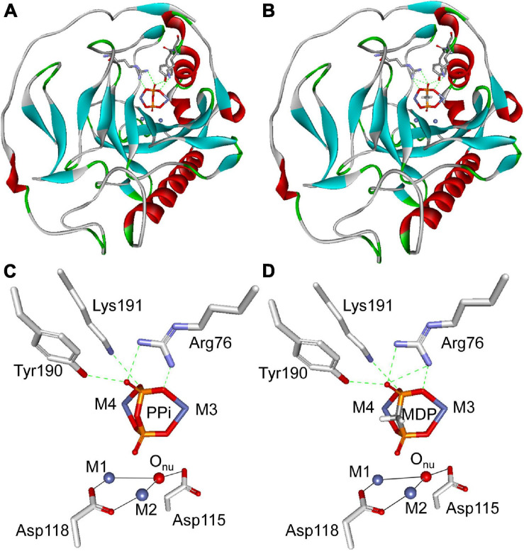 FIGURE 7