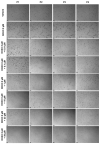 Figure 19