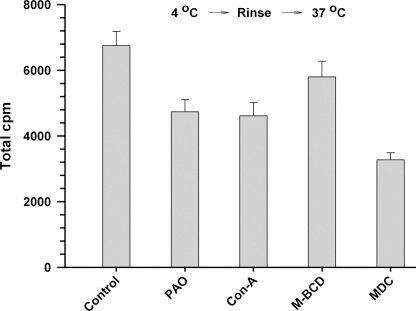 FIGURE 13.