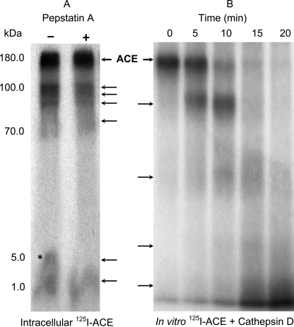 FIGURE 10.