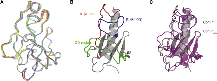 Figure 4